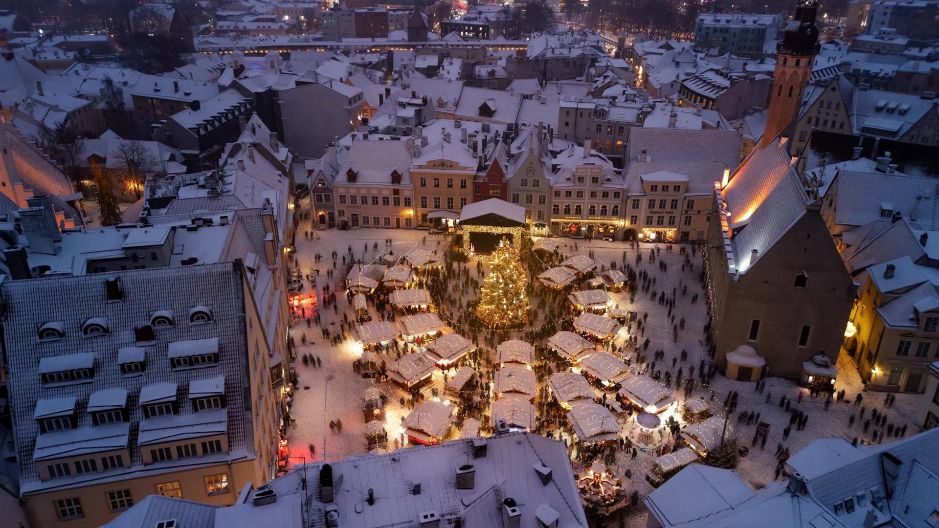 Tallinn Town Hall Square adorned with festive lights during winter