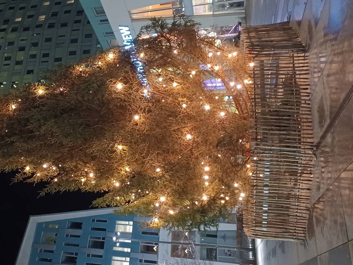Malmö Christmas tree radiates warmth against modern winter skyline